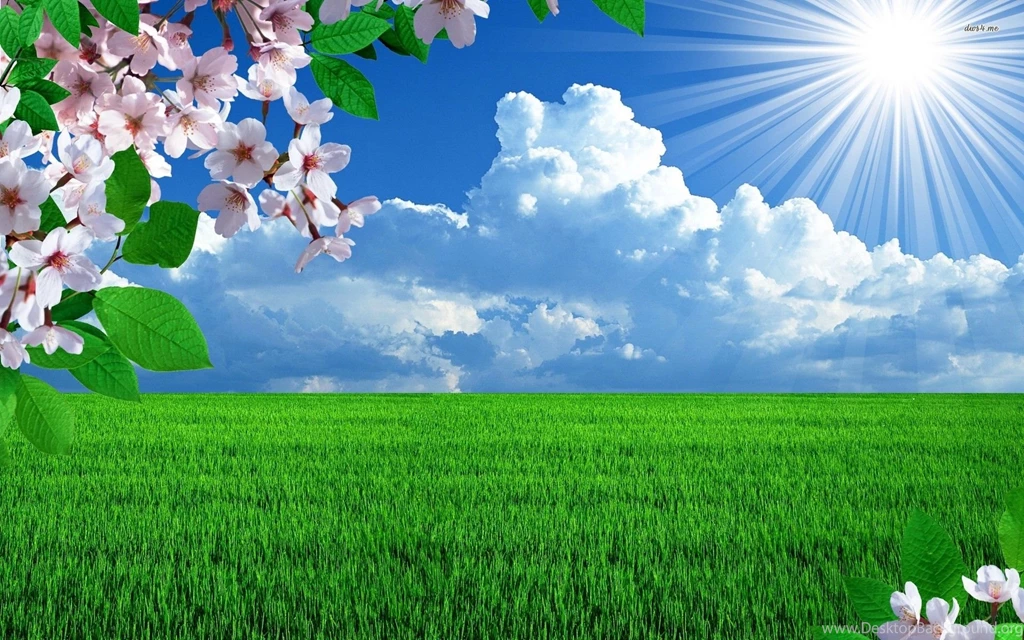 Sunny Spring Day Wallpapers   Digital Art Wallpapers