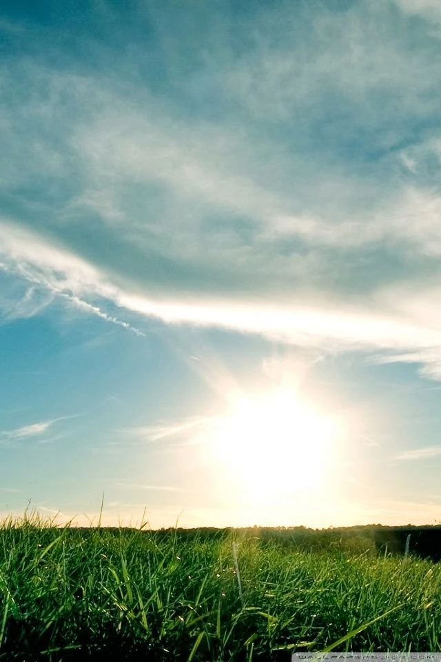 Sunny Day, Summer HD Desktop Wallpapers : Mobile