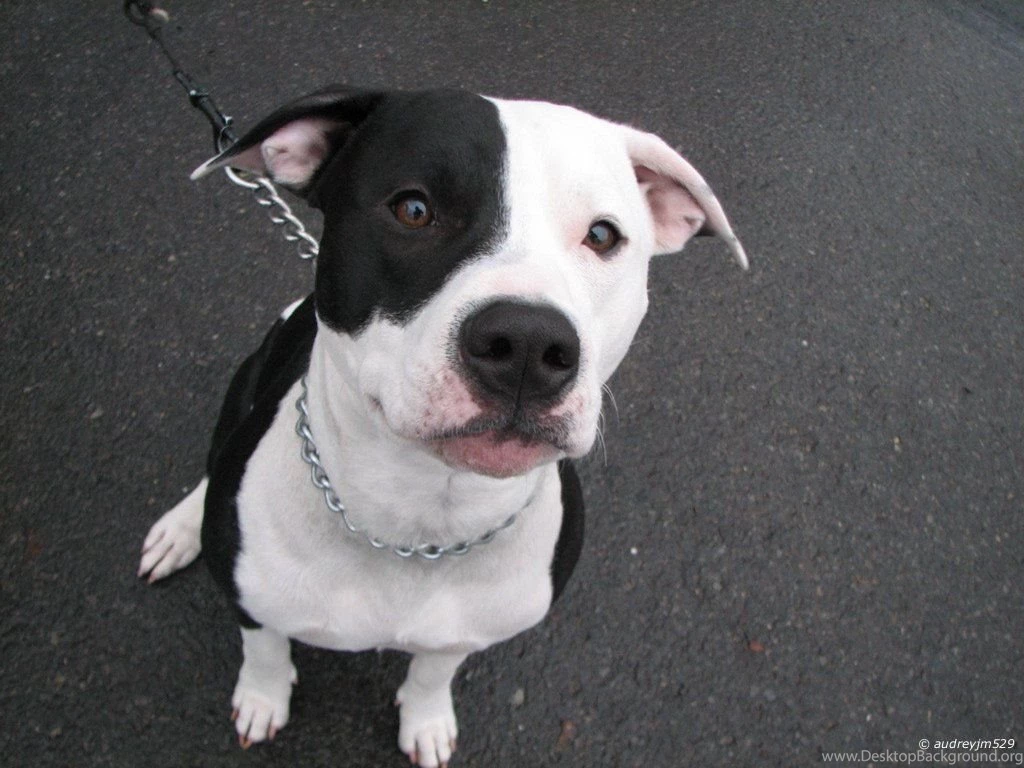 Baby For Tablets (id: 129257) – BUZZERG