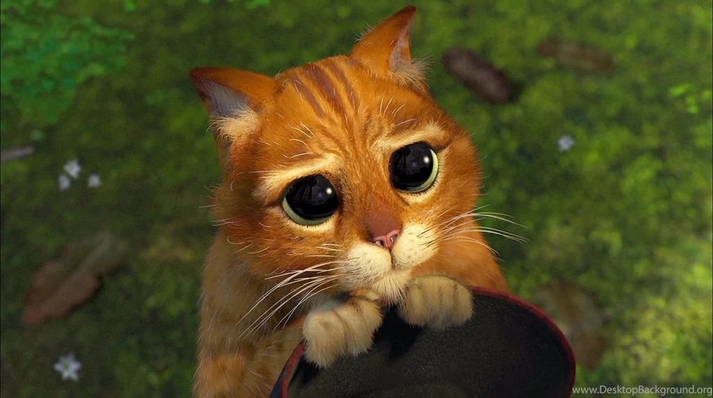 64 Shrek HD Wallpapers