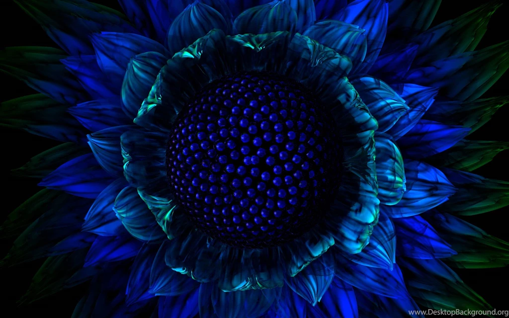 Exotic Flower Wallpapers Wallpapers Cave