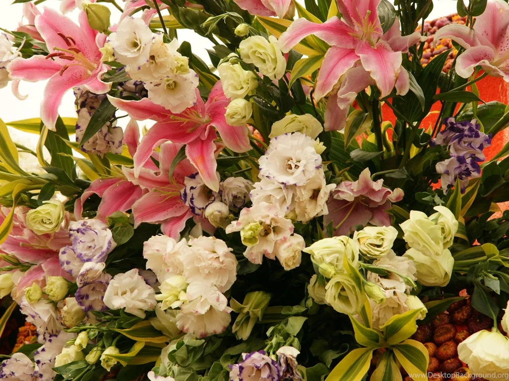 Flowers dsc02202.jpg