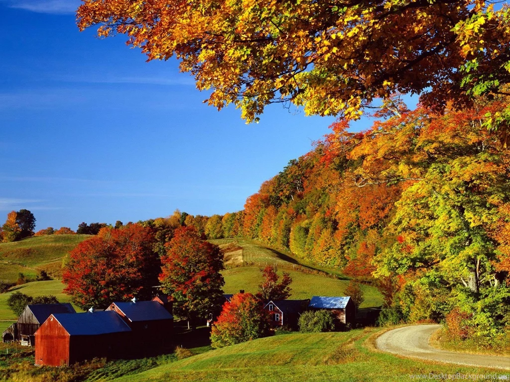 Vermont Autumn Wallpapers   8828