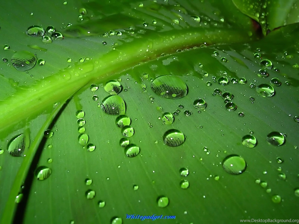 103742d1335507785 pc wallpaper themes pc wallpaper themes wallpaper.jpg