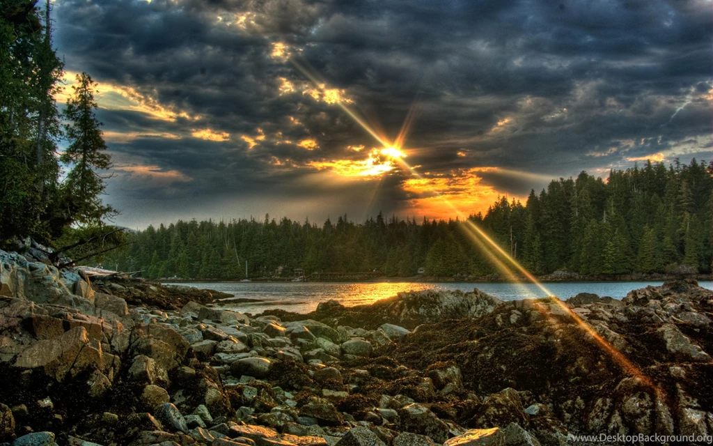 Awesome HDR Forest Wallpapers