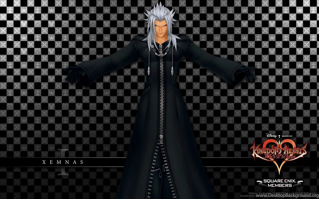Final Kingdom: Organization XIII Wallpapers.