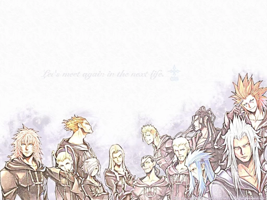 Next Life Organization XIII By MiriamTheBat On DeviantArt