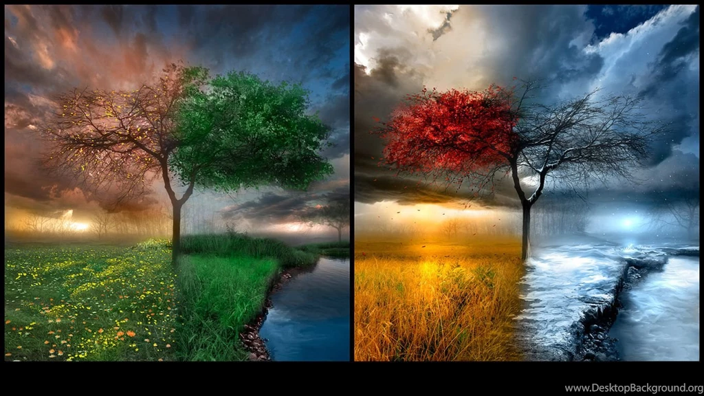 Computer Wallpapers Hd 12 Cool Wallpapers   XDwallpaper.com