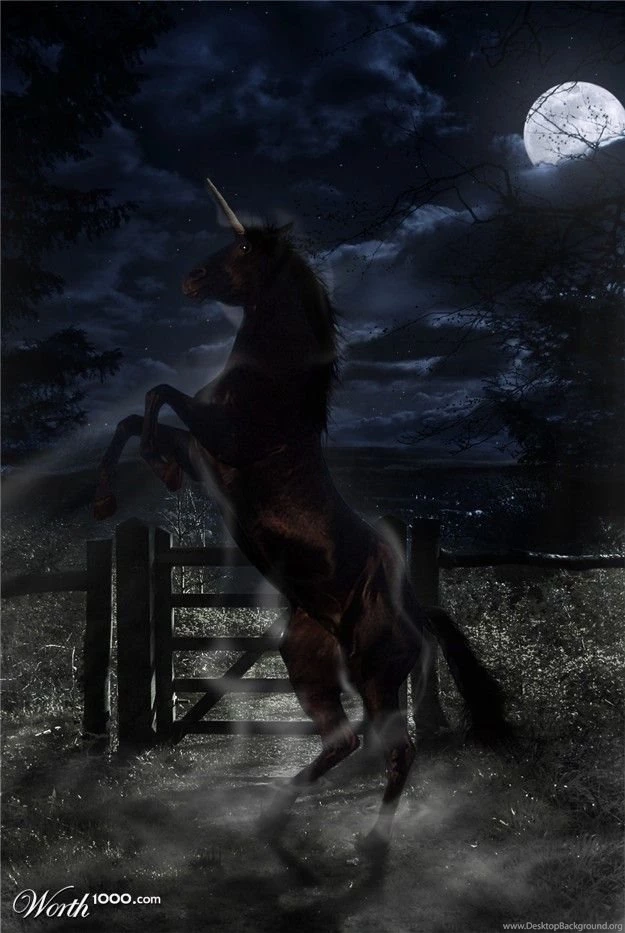 Anni's Favorites Worth1000 Collections