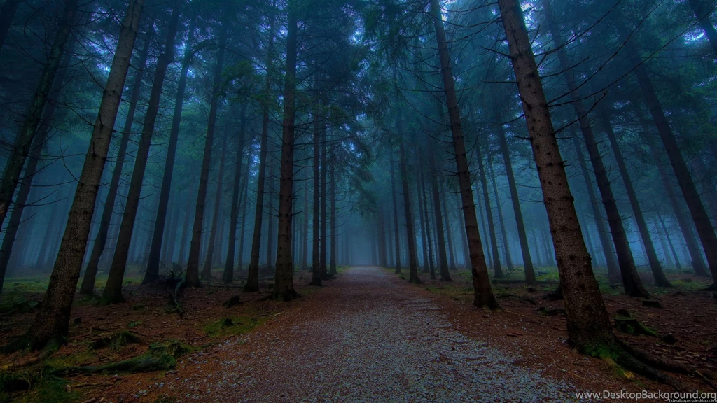 2560X1440 Wallpapers, HD, Widescreen, Computer Desktop Wallpapers ...