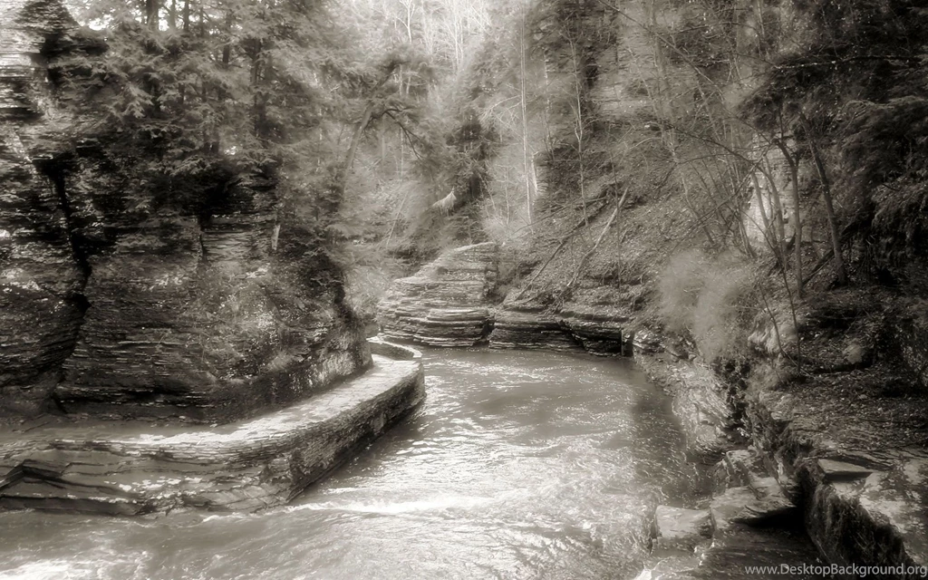 Wallpaper, Forest, Desktop, Widescreen, Nature, Listings, Narure ...