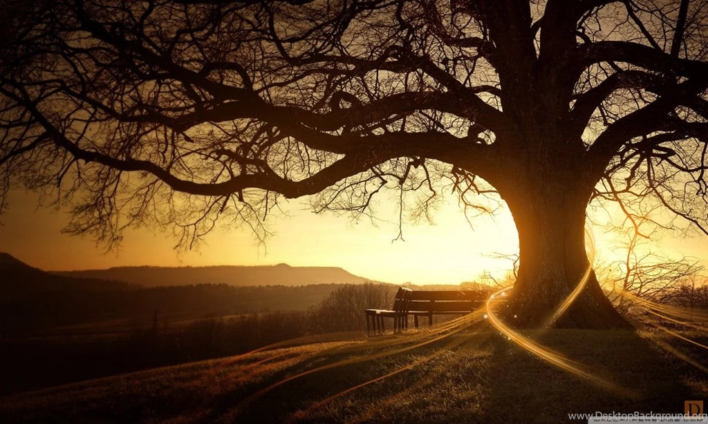 Magic Autumn HD Desktop Wallpapers : Widescreen : High Definition ...