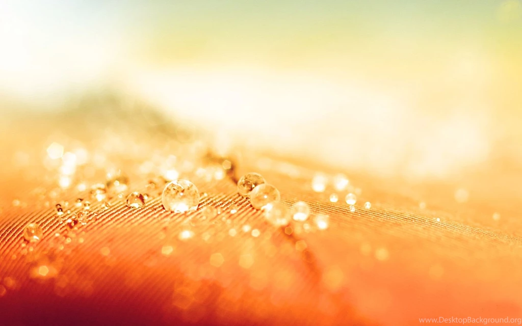 Abstract Wallpapers STAY001