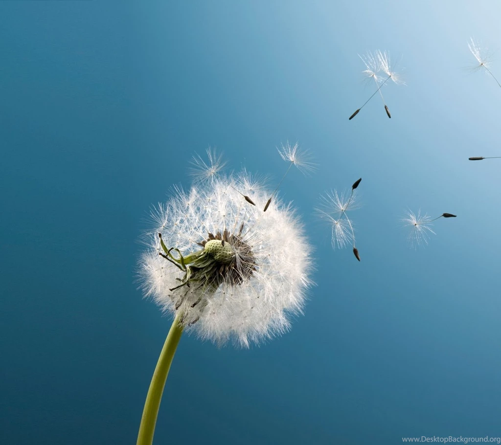 1920x1080px Samsung Galaxy S3 Wallpapers HD
