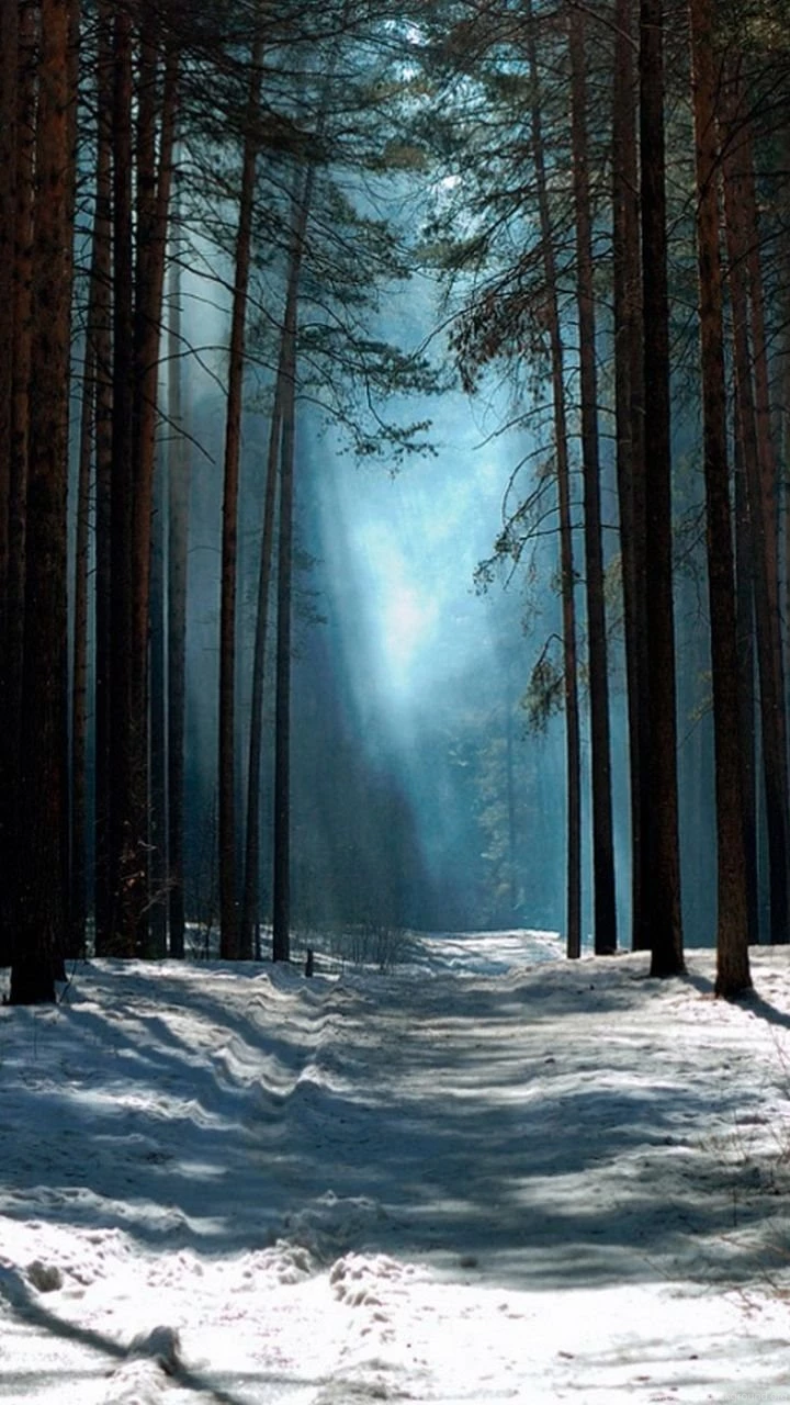 Galaxy S3 Wallpapers HD Beautiful, Stunning Wallpapers