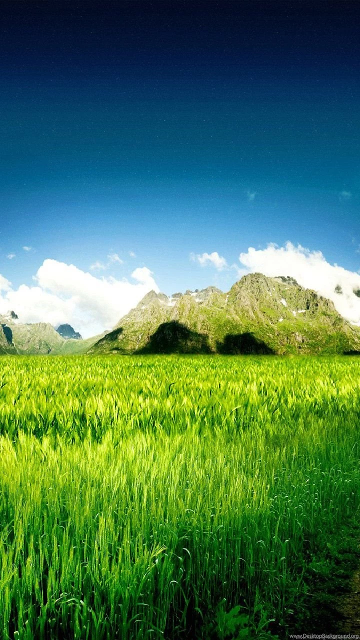 Galaxy S3 / Nature_Samsung Wallpapers