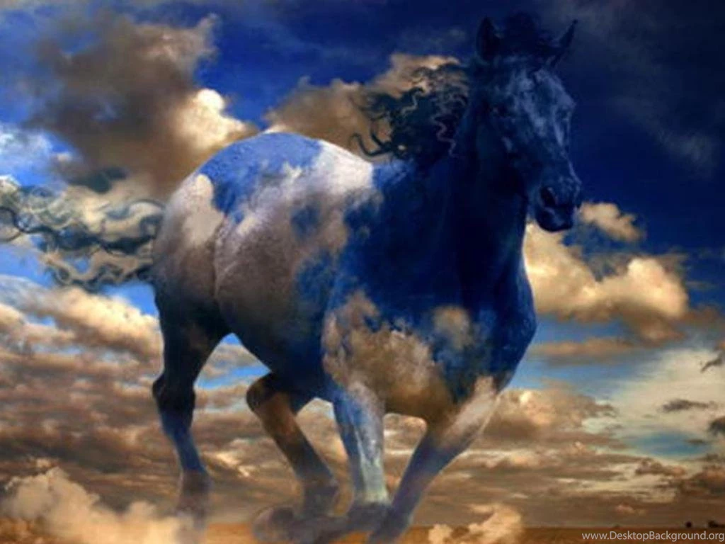 Horse Wallpapers Desktop Wallpapers Cave