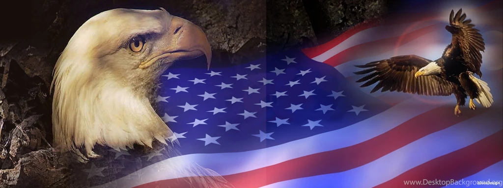 319 Eagle HD Wallpapers
