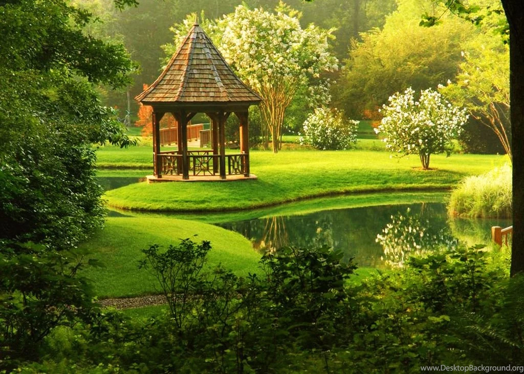Hd Desktop Images, Large Wallpapers, Windows Backgrounds, Plants ...