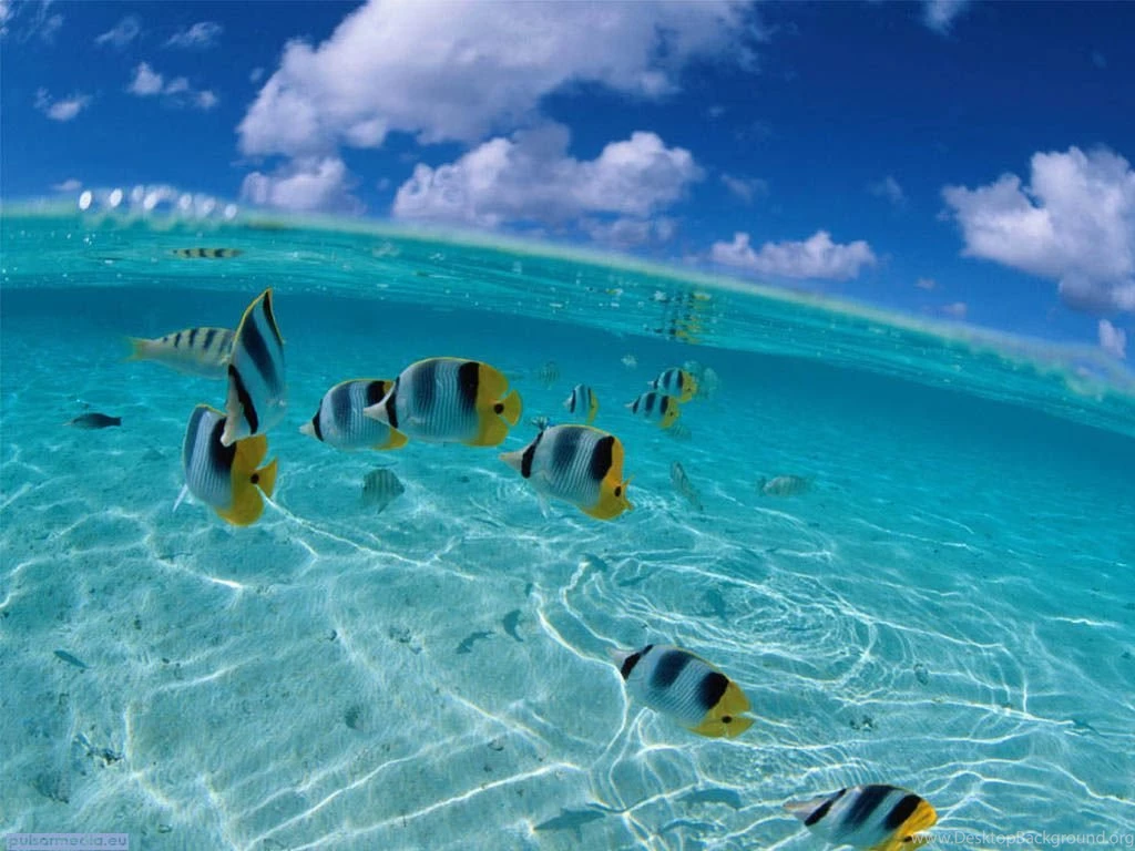Marvelous hd desktop wallpapers of ocean free ... Http://www ...