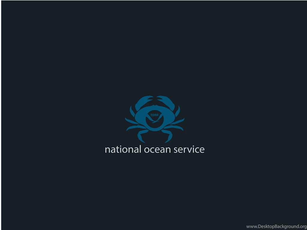 NOAA's National Ocean Service: Infographics