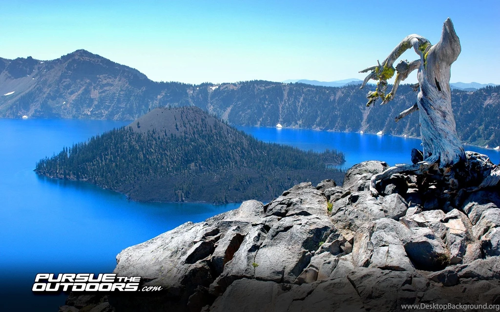 Free Desktop Wallpapers Hunting, Fishing, Wildlife, And Nature ...