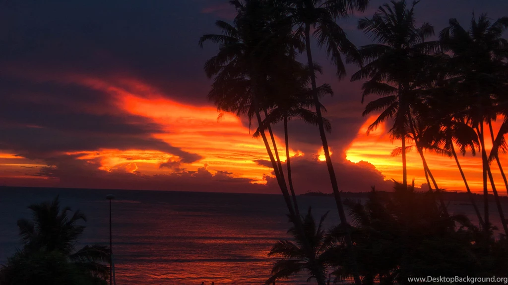 Without Glass Pane Between Huge Pod HD Wallpapers & Backgrounds D