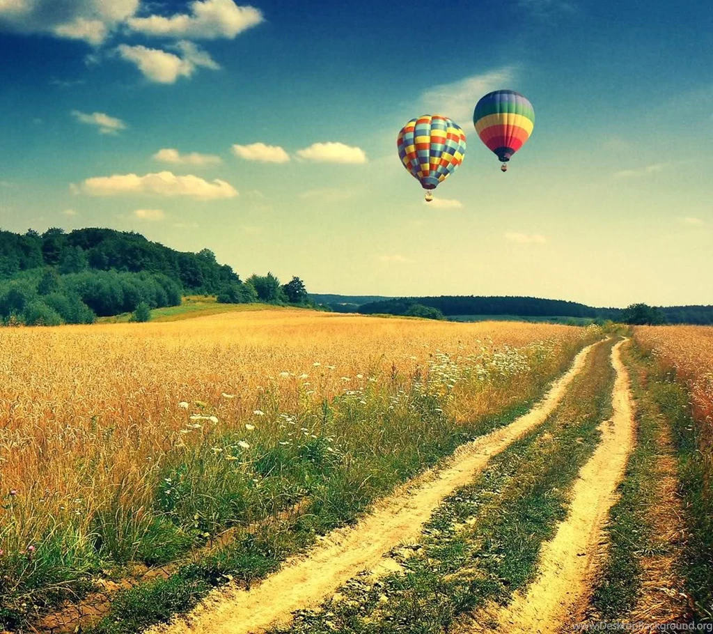 1440x1280px Field S4 Wallpapers