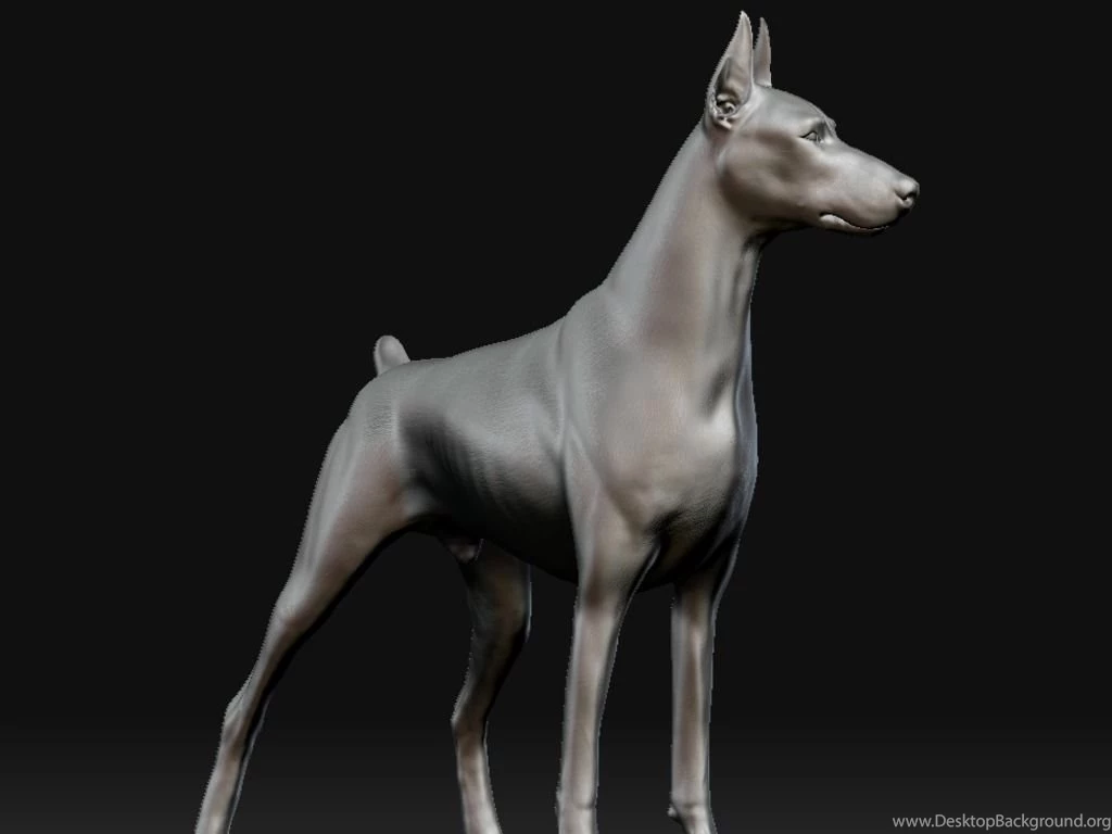 Wallpapers Digital Free Doberman The 1024x768