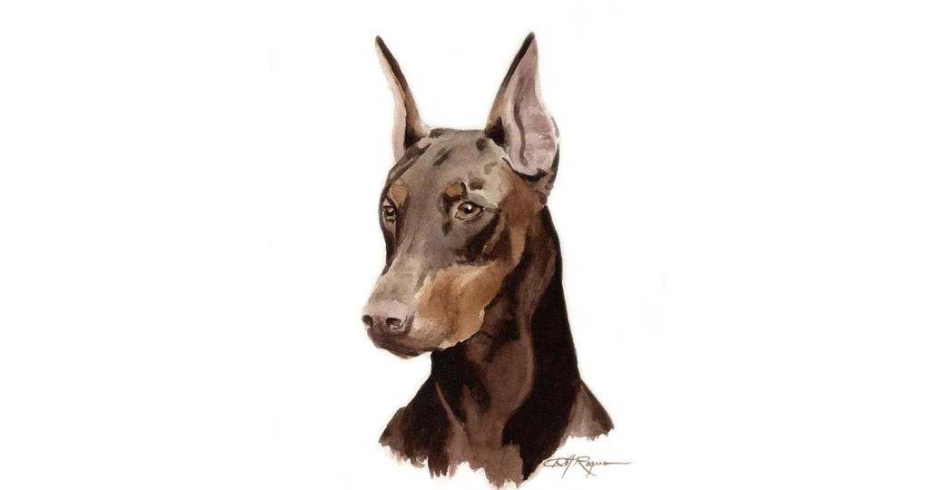 The Doberman Painting Wallpapers And Images Wallpapers, Pictures ...