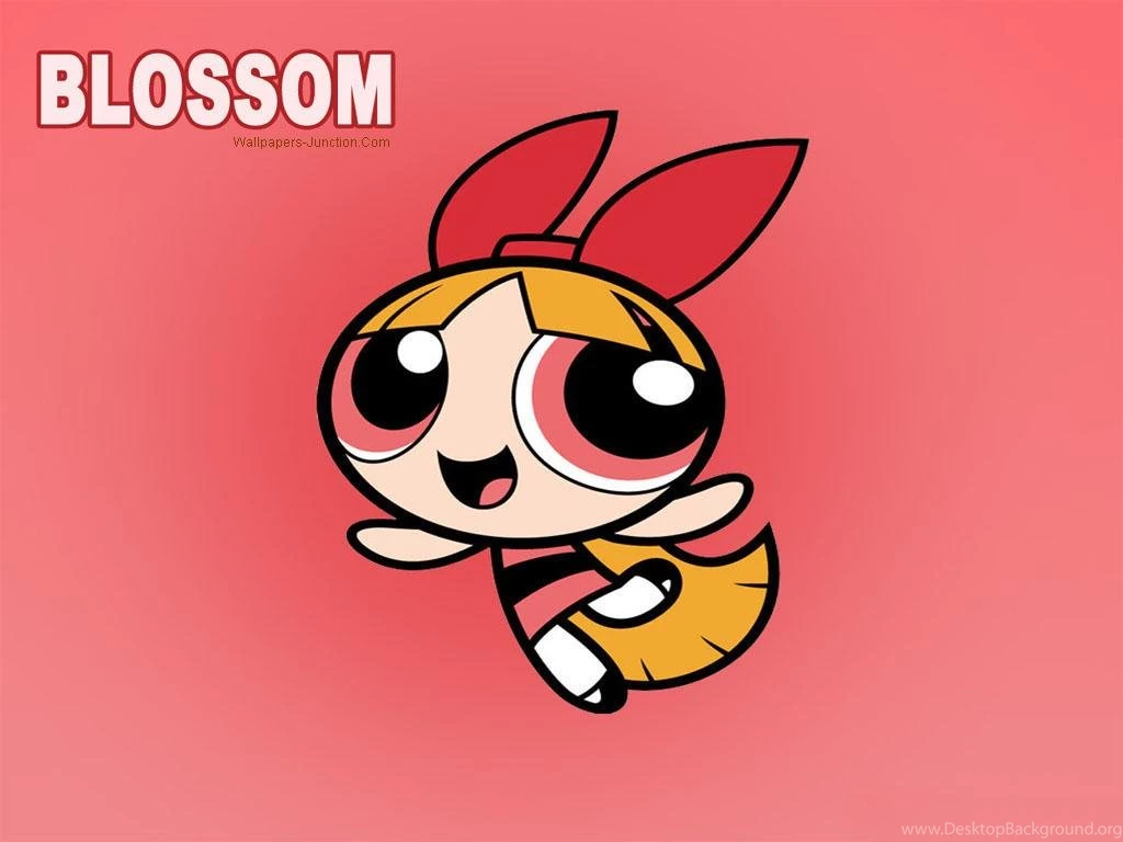 Powerpuff Girls Costumes For Teenagers Wallpaper.