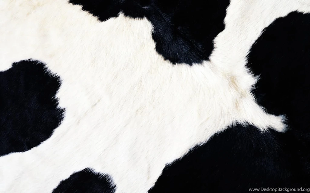 Cow Fur >> HD Wallpaper, Get It Now!