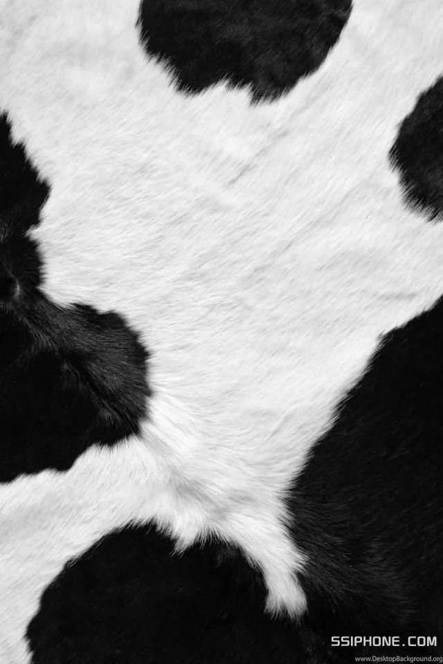 Cow Print iPhone 4 Retina Display Wallpapers