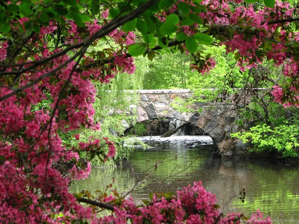 Nature Computer Wallpapers Widescreen HD Wallpapers