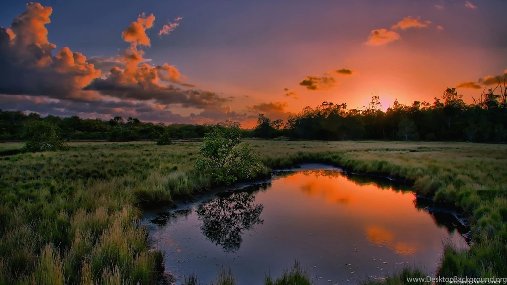Nature Computer Wallpapers Widescreen HD Wallpapers
