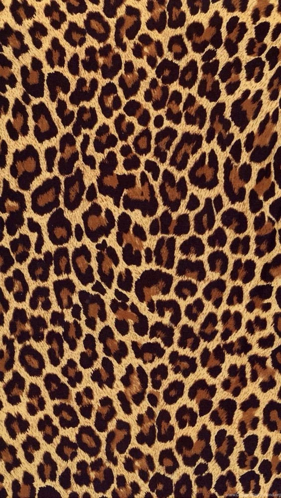 Animal Pattern & Texture & Print On Pinterest