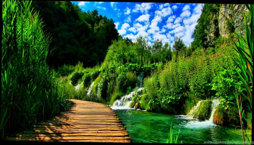 Computer Wallpapers Nature 3 Items
