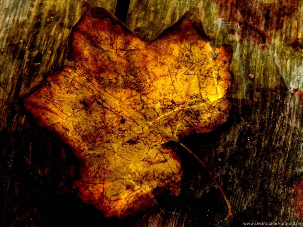 Fall Leaves Backgrounds Powerpoint