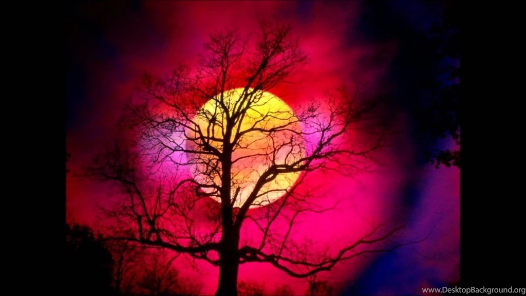 Pinkish Sunset Wallpapers