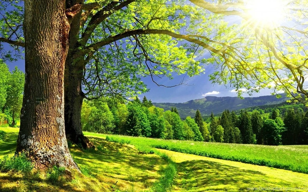 Free Download Images Of Nature 3 High Definition : Widescreen ...