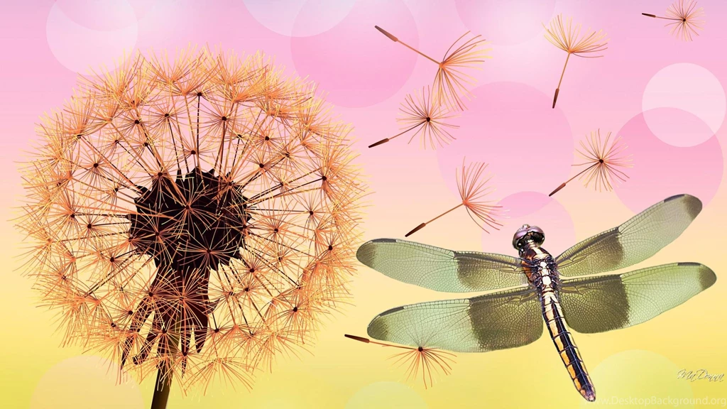 Dandelion And Dragonfly (