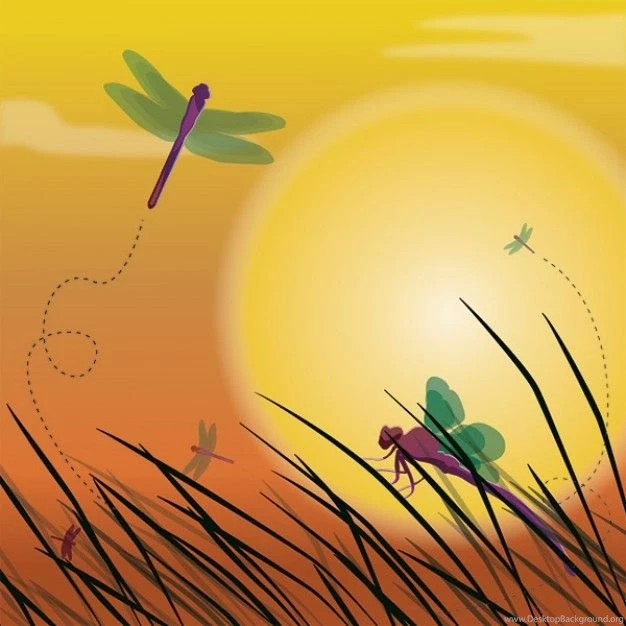 Dragonfly Vectors, Photos And PSD Files