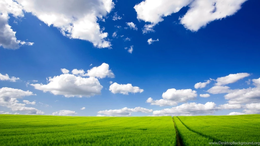 Back Wallpapers Original Nature Wallpapers Elementary 1629655