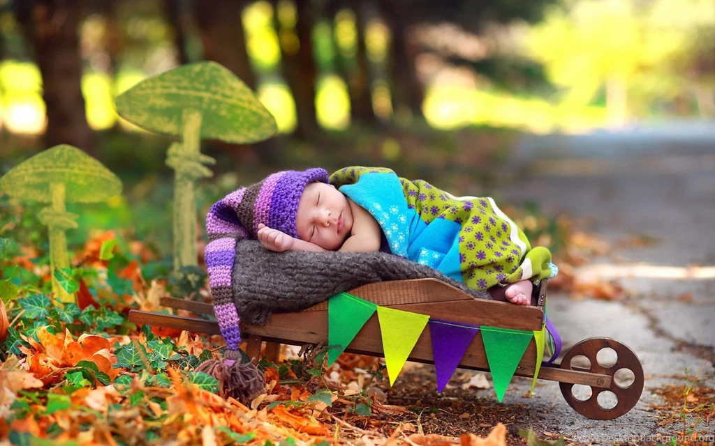 Cute Lovely Little Baby Sleeping In Trolley Wallpapers ...