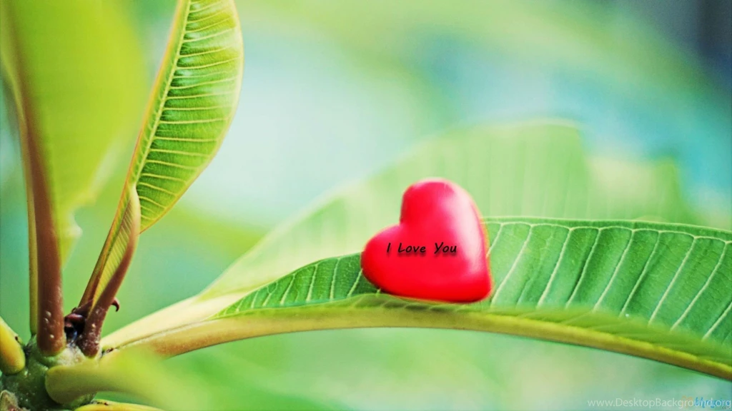 Collection Love Wallpapers • NgepLuk.com