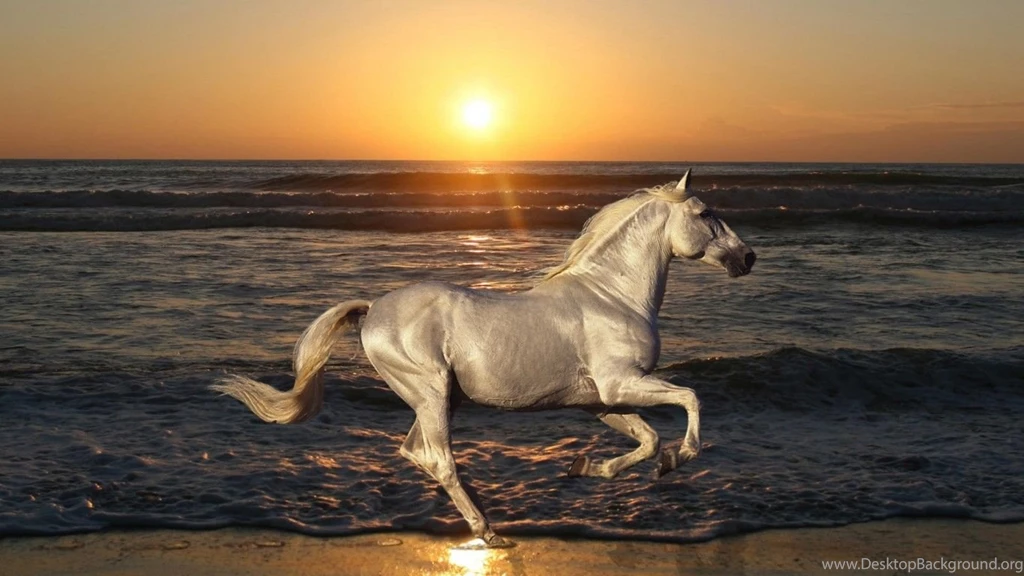 Running Horse HD Wallpapers