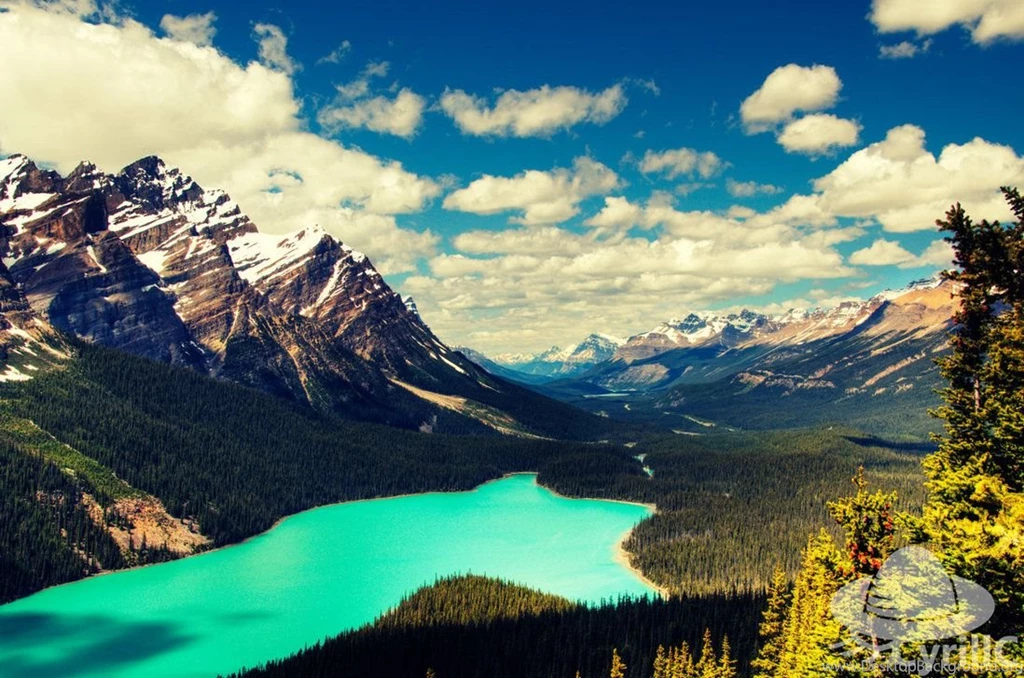 Jasper National Park The Largest Park In Canadian Rockies