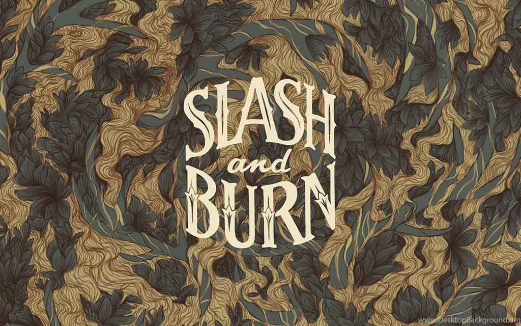 The Studio Of Adam Warner