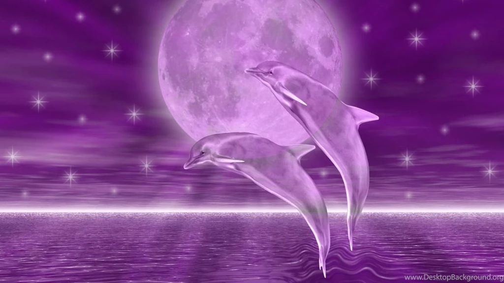 Wonderful Dolphins HD Live Wallpapers In Google Play Store
