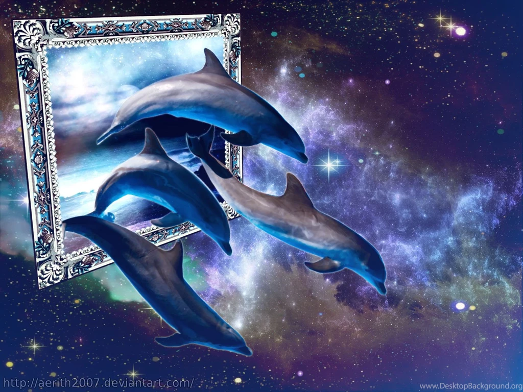 185 Delfin HD Wallpapers